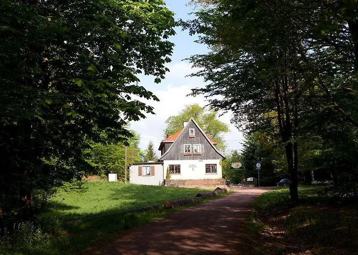 Sängerwiese
